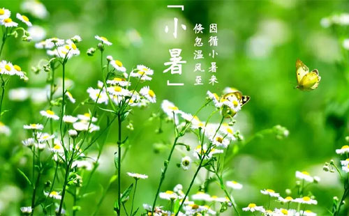 小暑時節(jié)，飛揚聚焦伴您清涼一夏