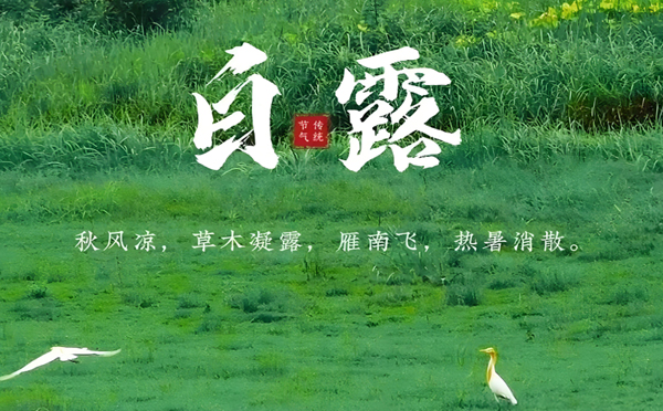 白露初臨，飛揚(yáng)聚焦邀您共繪秋日精彩